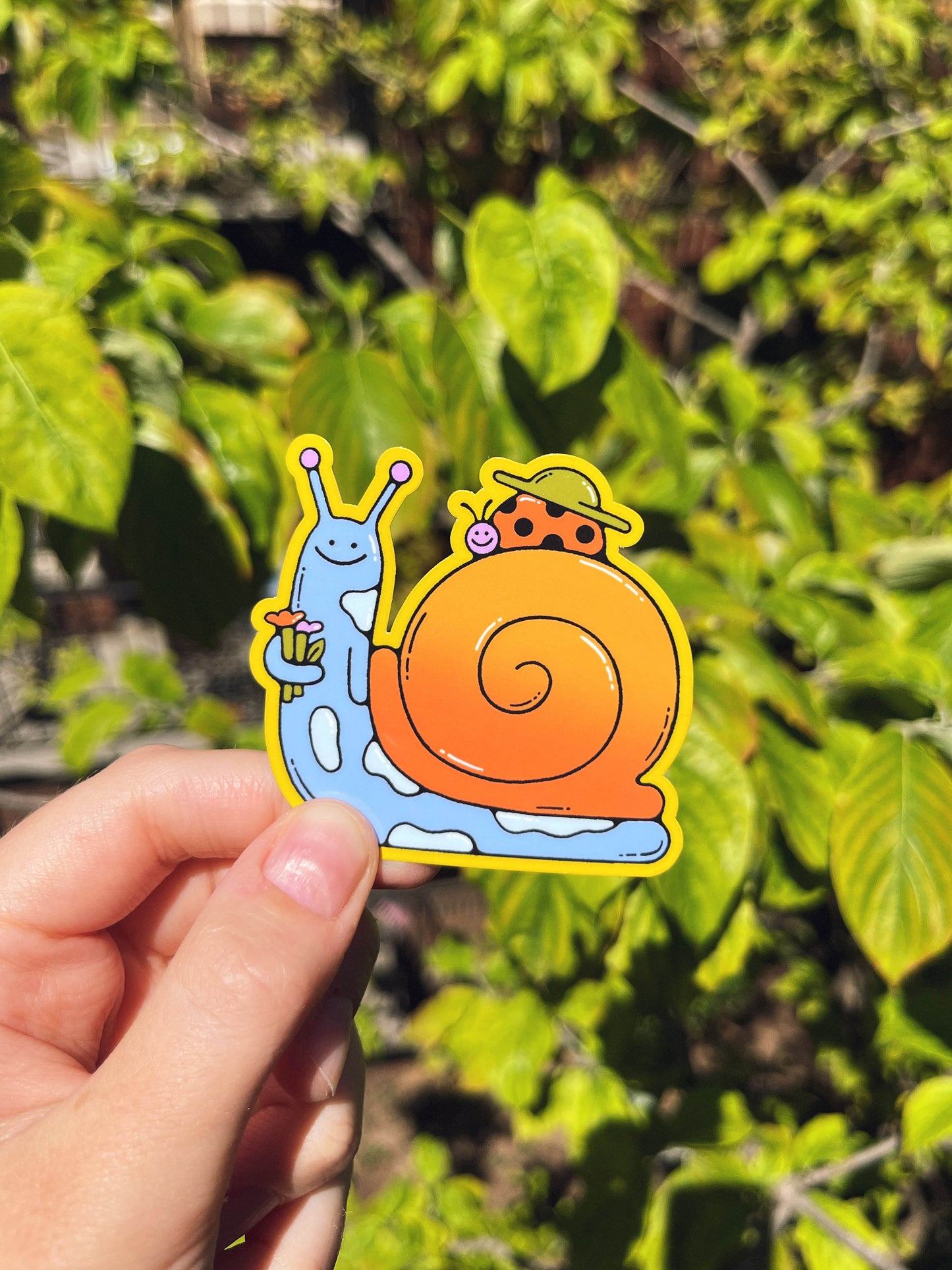 Sticker – Snail & Ladybug